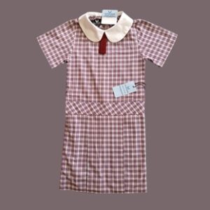 Girls Premium Drop Waisted Summer Dress  - CHSHI 203